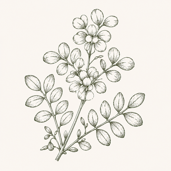 METHI